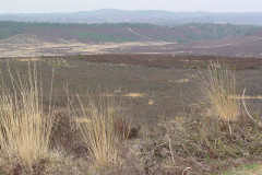 hankley-dropping-zone-s2-4