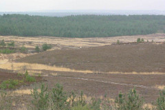 hankley-dropping-zone-s2-5