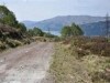 ardgarten-1