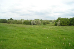 swynnerton-training-camp-21