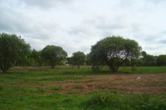 swynnerton-training-camp-23